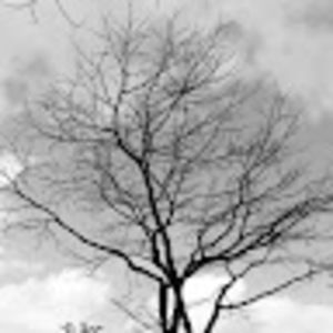 Meet your Posher, Ameka